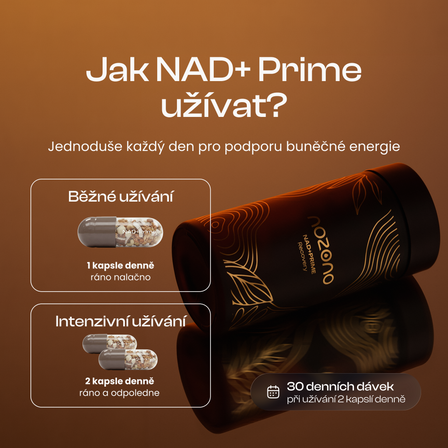 NAD+ Prime
